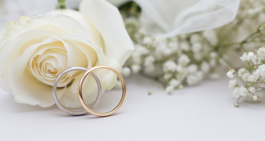 joyería con alianzas para novios en donostia-san sebastián